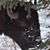 Jodi Cardina Trombley's profile image