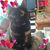 Patricia Hatcher-DePottey's profile image