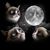 Maryrose Honegger's profile image
