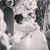 Courtney LaBranche's profile image