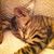 Loye Kay Haskins's profile image