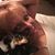 Darnelle Moore's profile image