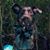 Kathy Ison Chernicky's profile image
