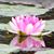 Marissa Heroux Ralston's profile image