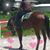 Joyce Slominski's profile image