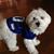 Maureen Helmstetter Williams's profile image