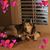 Janie Evans Jones's profile image