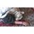 Laurel Louise's profile image