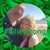 Megan Ross Girton's profile image