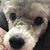 Hye Chang's profile image