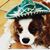 Bridget Maryott's profile image