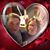 LaVerne Weisbrodt's profile image