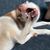 Christy Corder's profile image