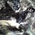 Dedra Christine's profile image