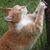 Kathi Mitchell's profile image