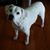 Karen E Schmidt's profile image