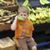 Amy Jarvis's profile image