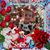 Lisa Ryan DeMaro's profile image