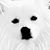 Eric Clarke's profile image