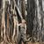 Sherry Kaczka Austin's profile image