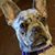 Debbi Bowen's profile image