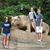 Tracy Sago Eddy's profile image