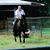Dennis McInerney's profile image