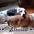 Rose Marie's profile image