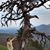 Karen Cereghin May's profile image