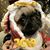 Carolyn Blakley-Digsby's profile image