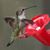 Deborah von Seggern's profile image