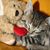 Kelly Beuth's profile image