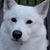 Deb Orley's profile image