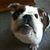 Leigh Ann Helensmith's profile image