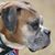 Janet Williams Walker's profile image