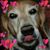 Kelly Hamilton's profile image