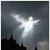 Mary E. Ross's profile image