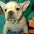 Lori James's profile image