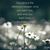 Cindy Maypole's profile image