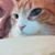 Shawn Postera's profile image