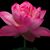 Debbie Prince's profile image
