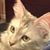 Susan Gluck's profile image