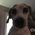 Sandy Suehle's profile image