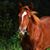 Carol D. Bell's profile image