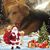 Theresa Terri Cannatella Spero's profile image