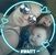 Gabi Aguayo's profile image