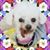 William K Willliams's profile image