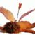 Judy Tremblay's profile image
