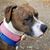 Patricia Betts's profile image
