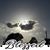Kevin Bartley's profile image